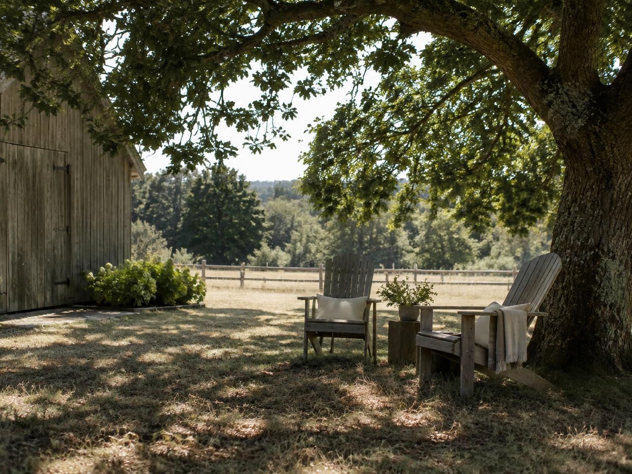 Shaded outdoor seating under an oak tree